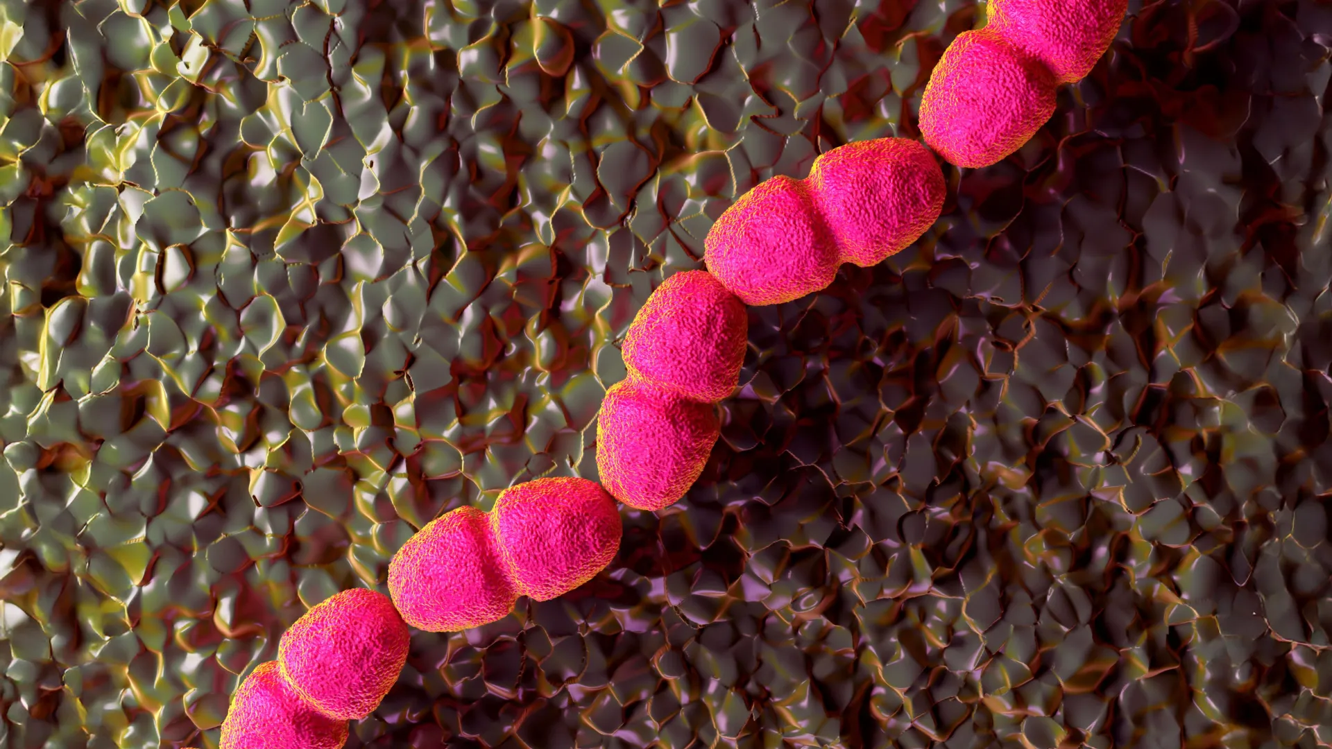 Cientistas descobrem por que algumas feridas se recusam a cicatrizar