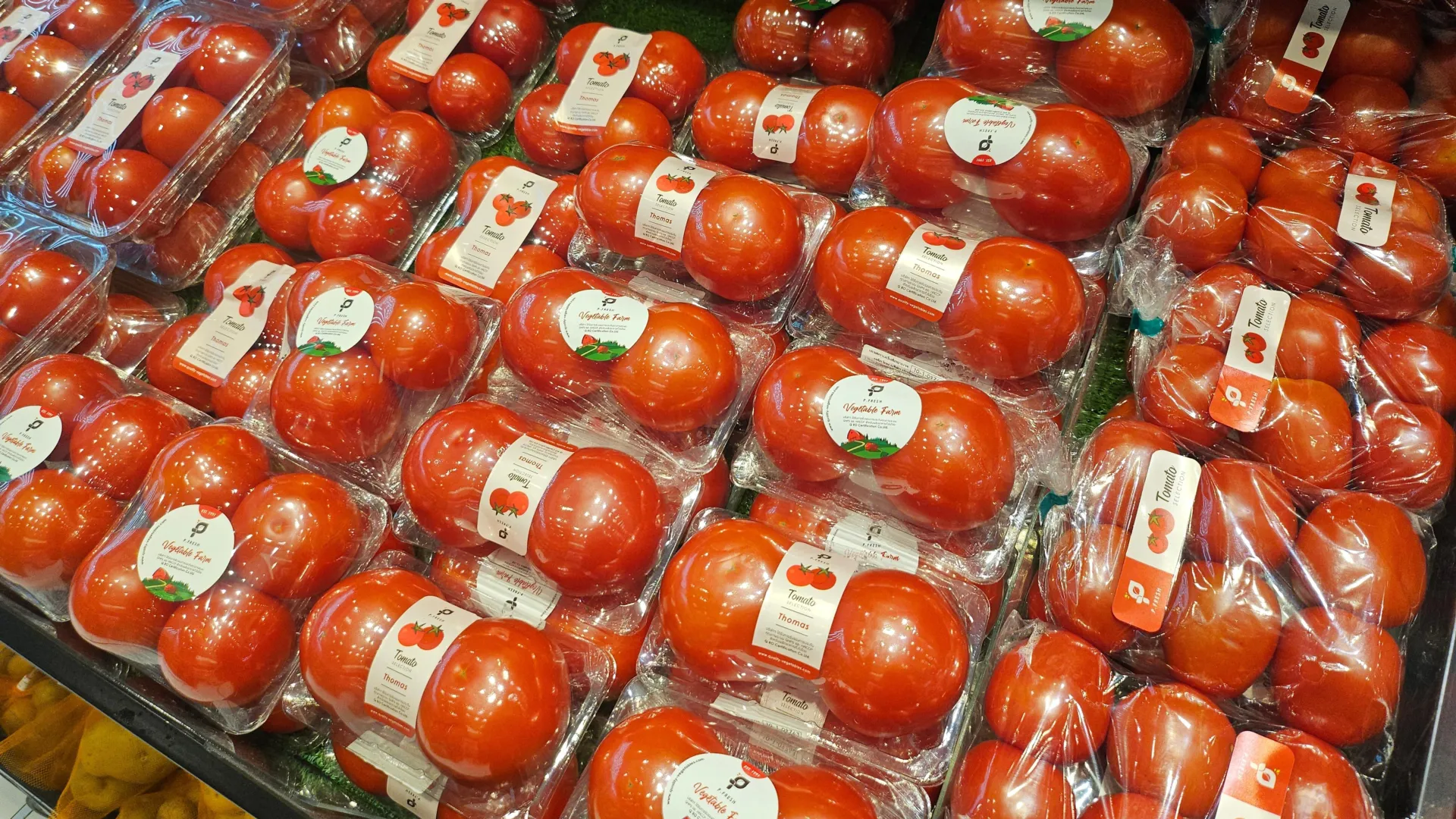 Cientistas questionam a segurança das embalagens sem BPA