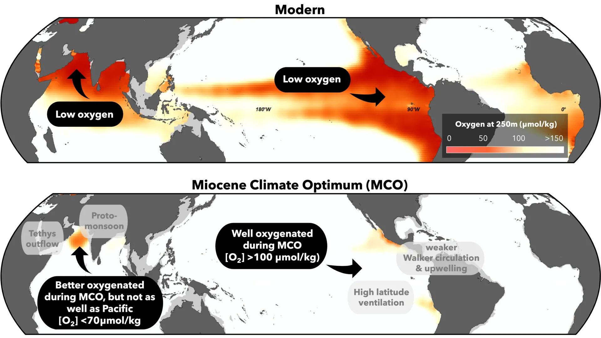 Os oceanos antigos permaneceram ricos em oxigênio apesar do aquecimento extremo