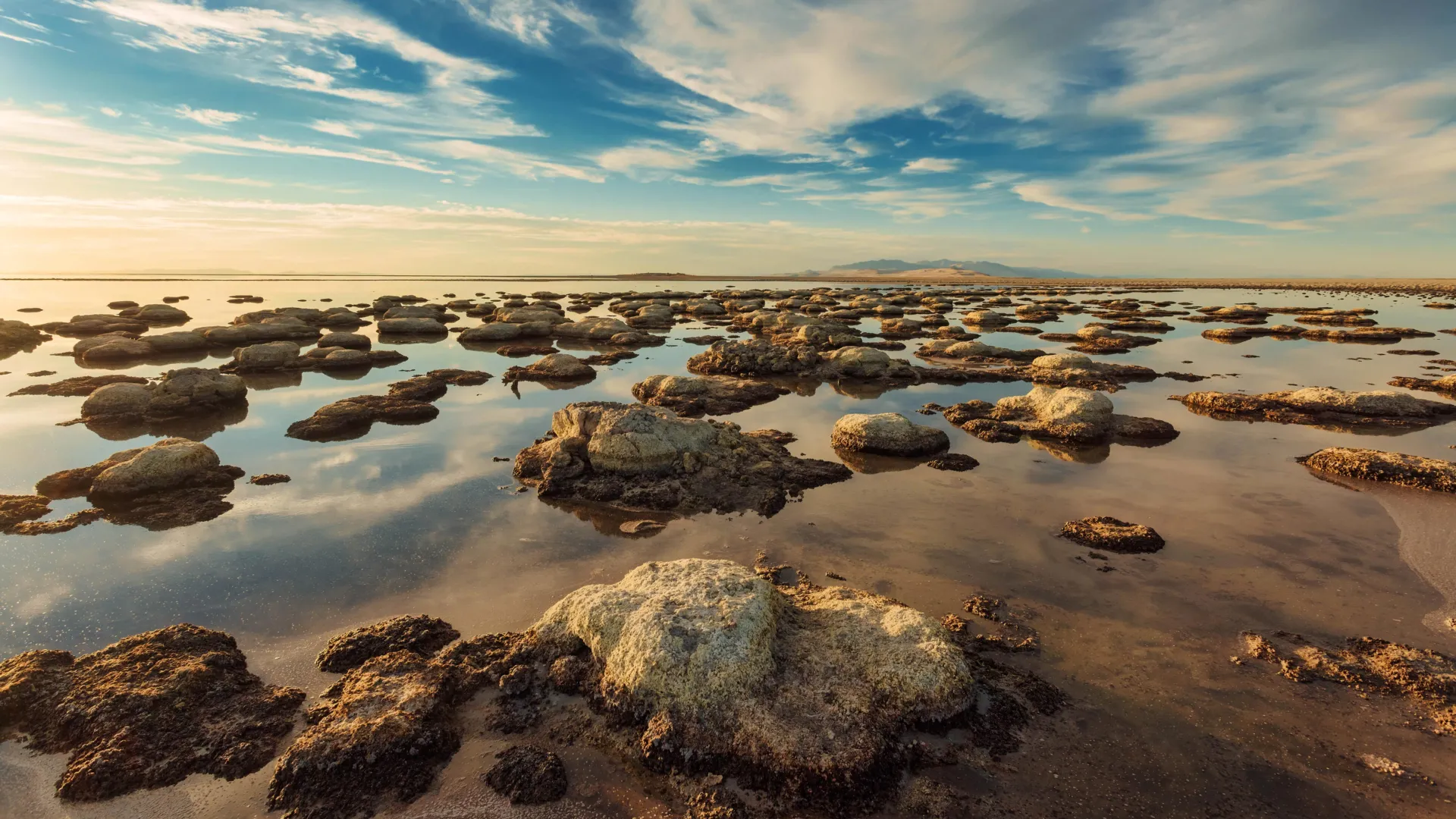 Uma criatura nunca antes vista foi encontrada no Grande Lago Salgado