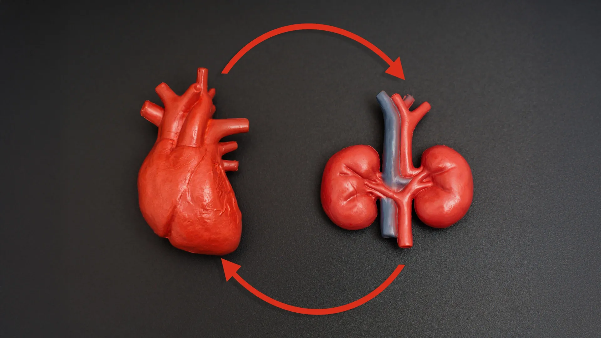 Uma síndrome de saúde pouco conhecida pode afetar quase todas as pessoas