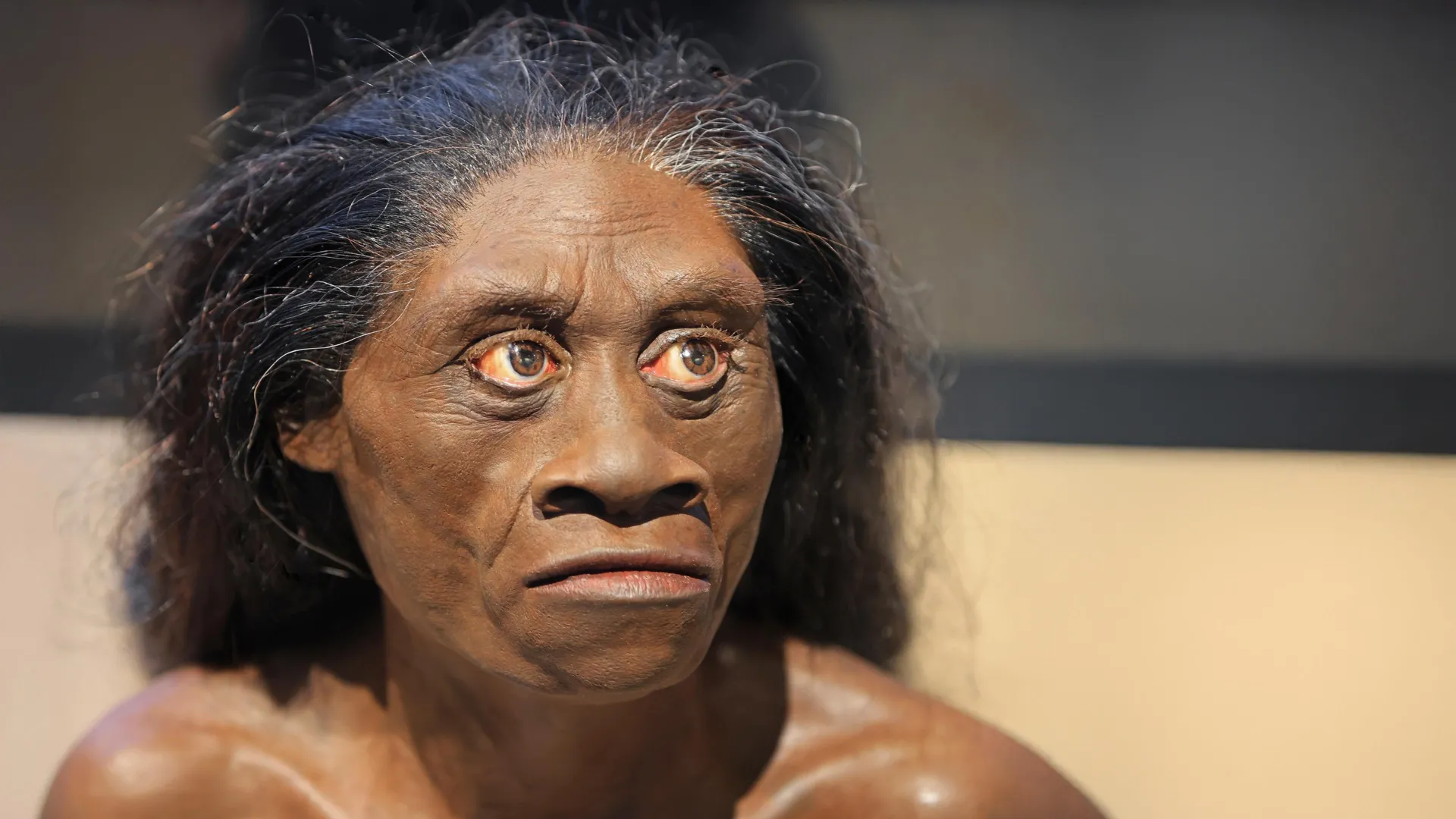A seca antiga pode ter exterminado os hobbits da vida real há 61.000 anos