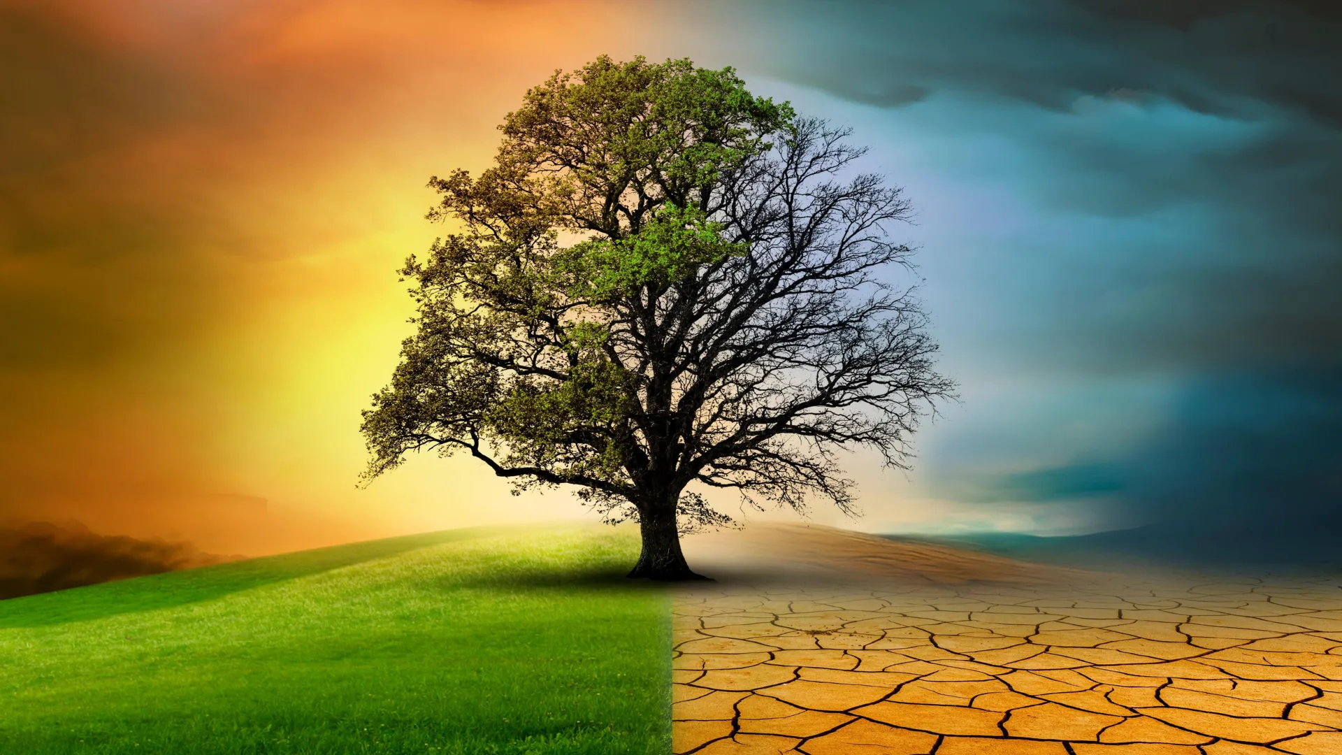 As alterações climáticas estão a acelerar, mas a natureza está a abrandar