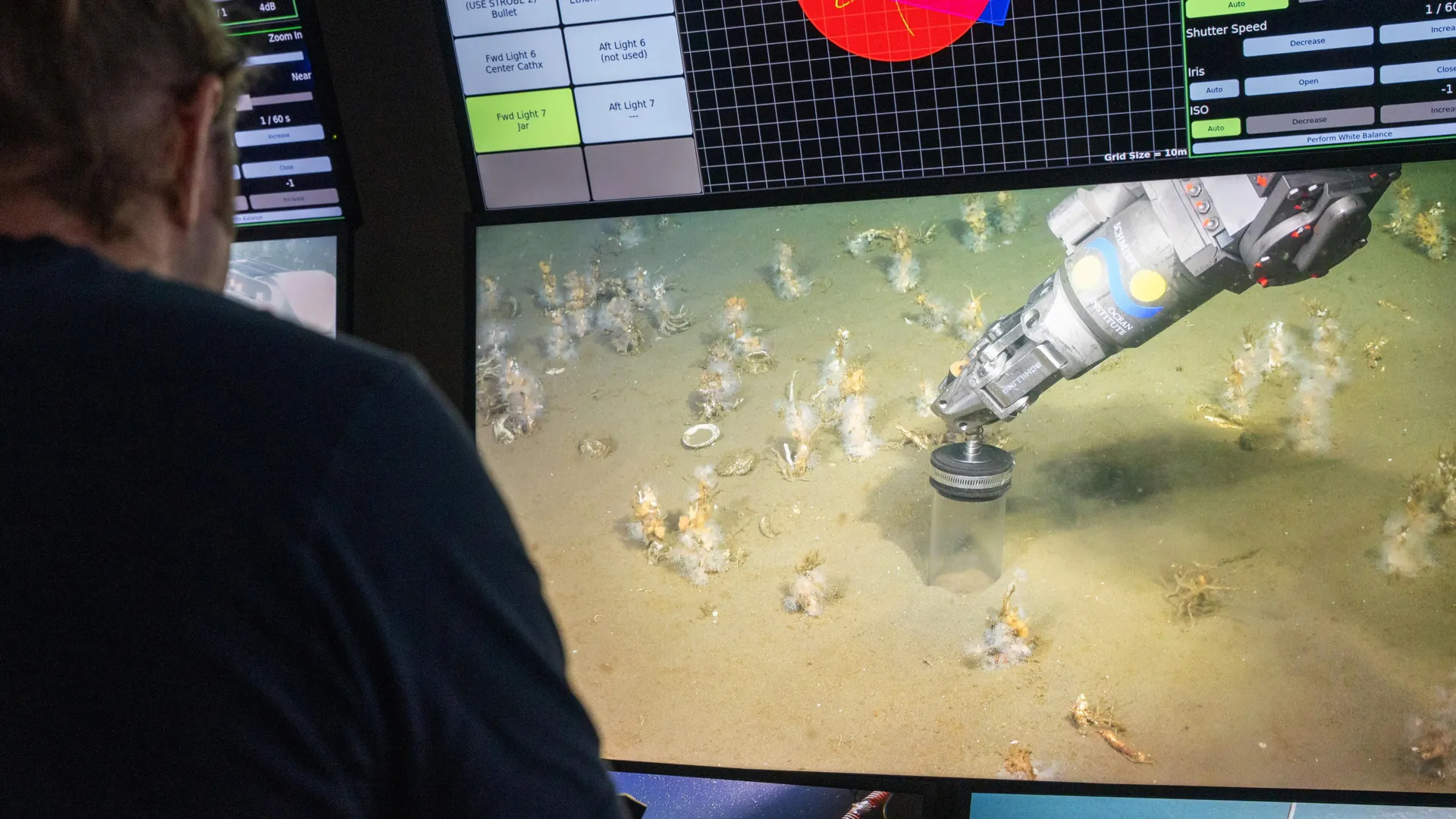 Cientistas descobrem ancestral amante do oxigênio de toda vida complexa