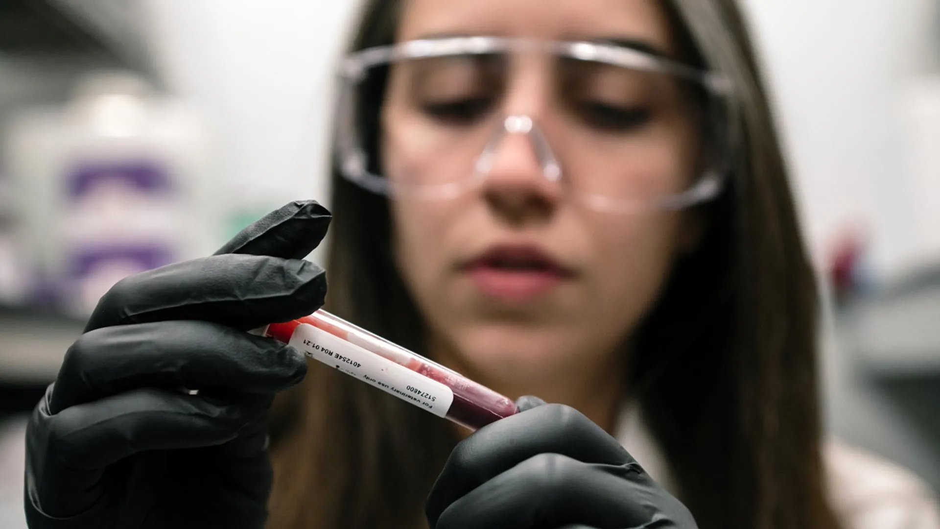 Cientistas descobrem por que a altitude elevada protege contra o diabetes