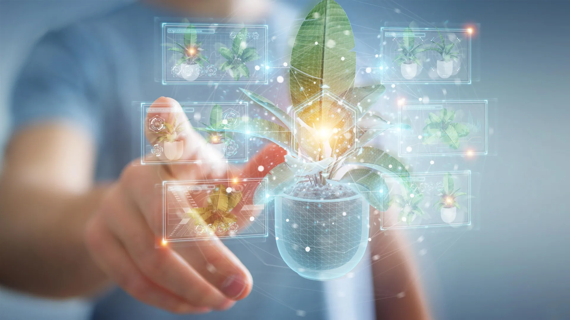 Esta descoberta inesperada de planta pode mudar a forma como os medicamentos são produzidos