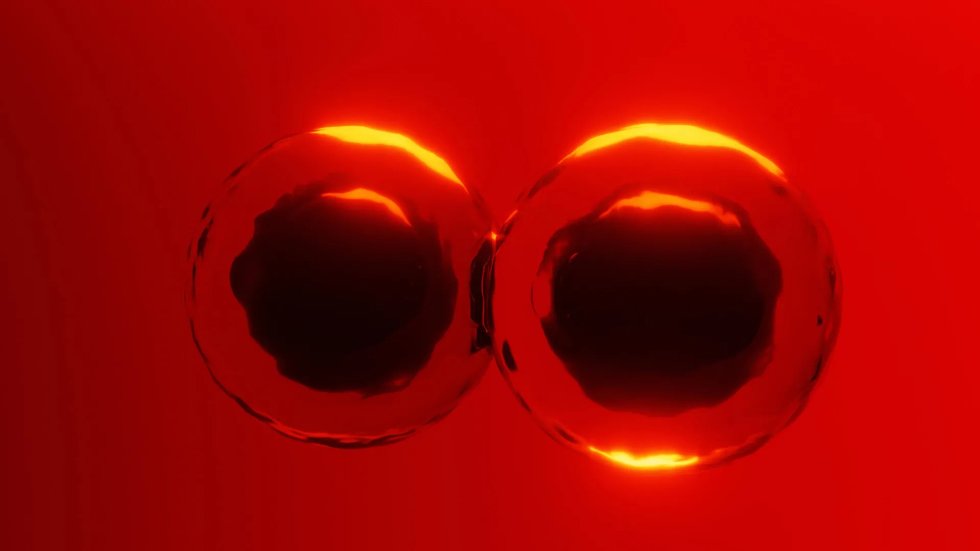 Livros didáticos desafiados por novas descobertas sobre como as células se dividem