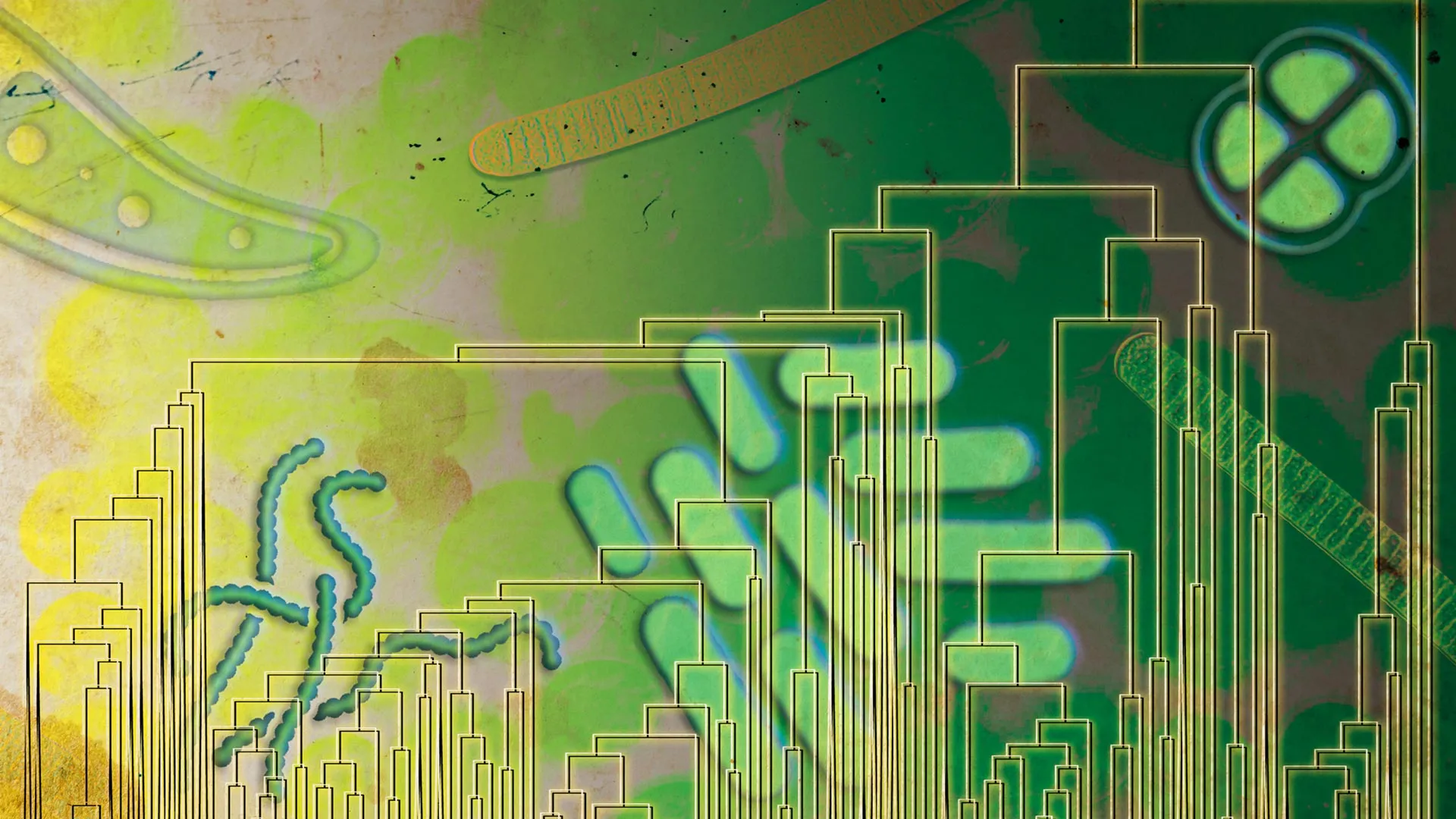 Micróbios antigos podem ter usado oxigênio 500 milhões de anos antes de ele preencher a atmosfera da Terra