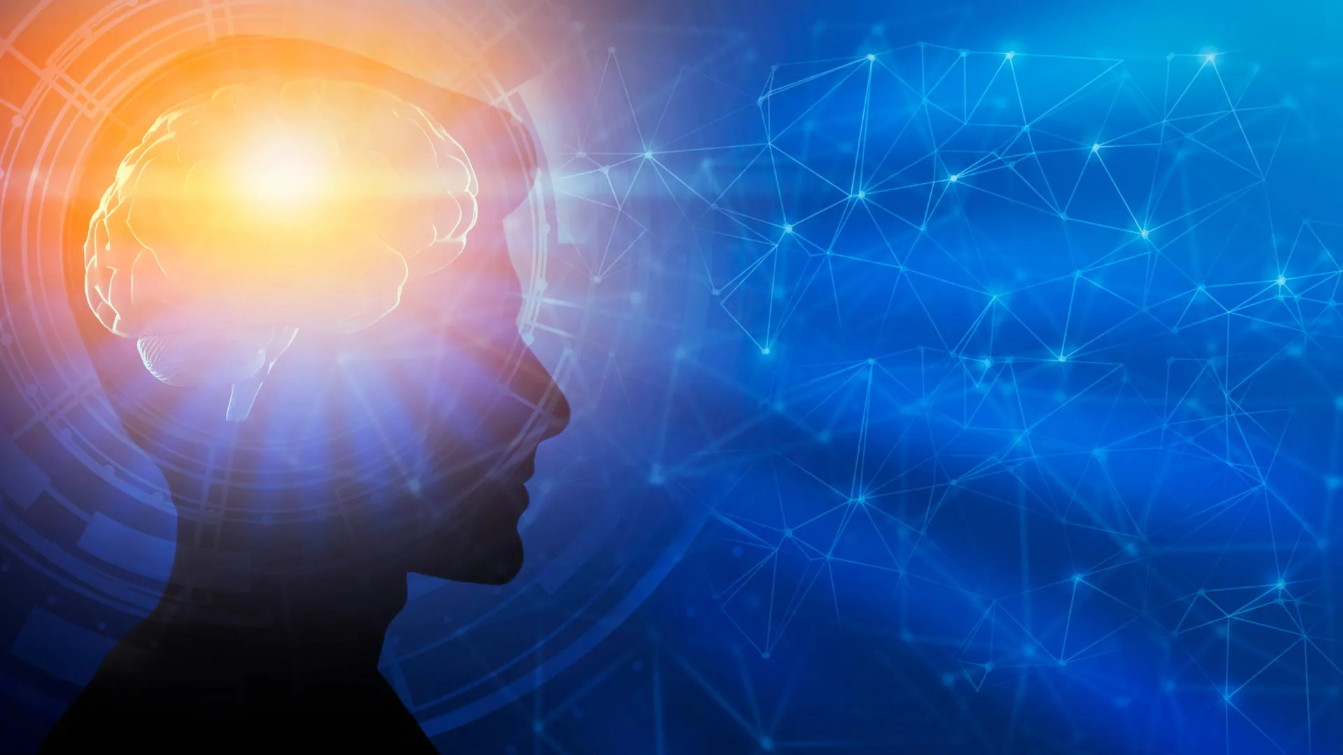 O desenvolvimento do cérebro pode continuar até os 30 anos, mostra uma nova pesquisa