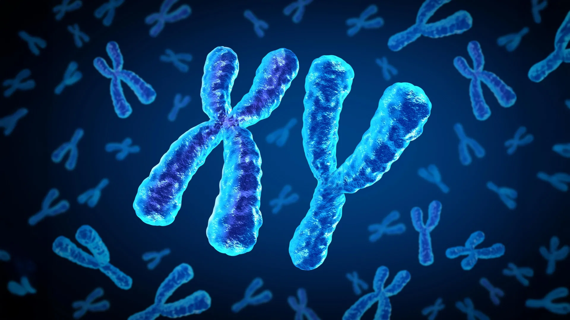 Por que o risco de doenças cardíacas no diabetes tipo 2 parece diferente para homens e mulheres