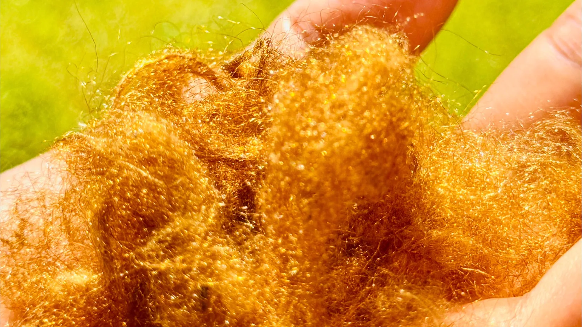 Um lendário tecido dourado perdido há 2.000 anos foi trazido de volta