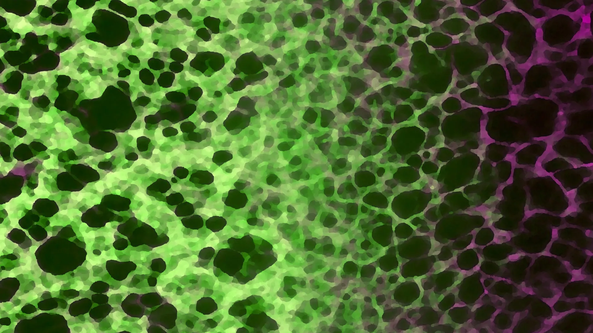 Um processo celular oculto pode levar ao envelhecimento e às doenças