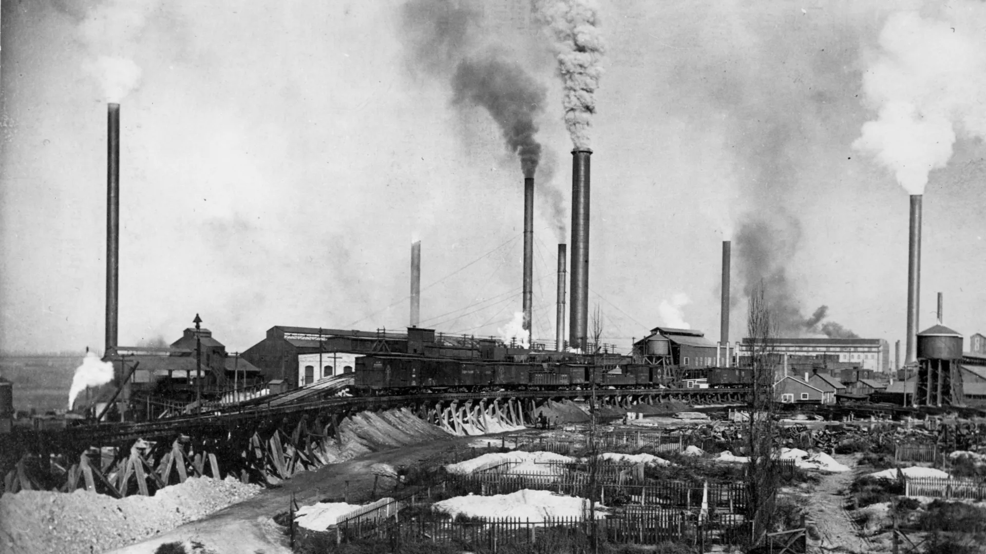 Um século de cabelo mostra como a exposição ao chumbo entrou em colapso