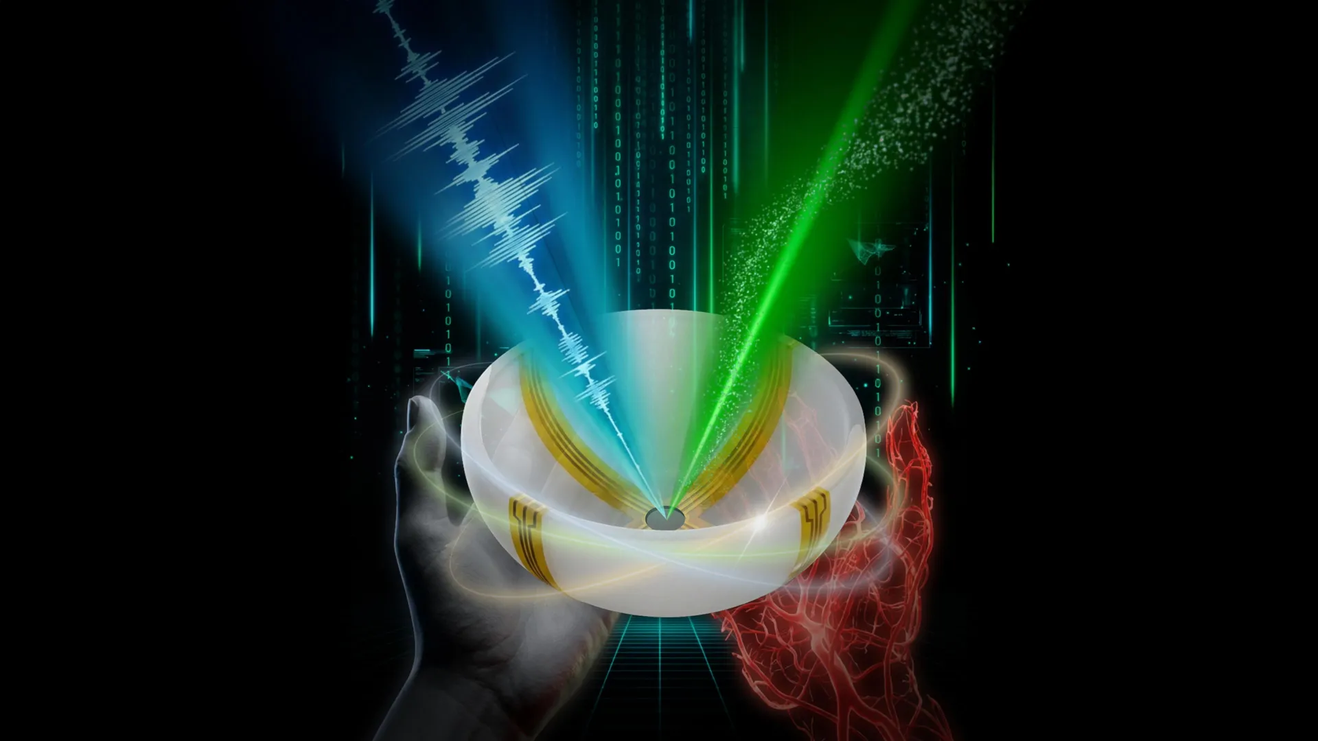 Uma nova varredura permite que os cientistas vejam o interior do corpo humano em cores 3D