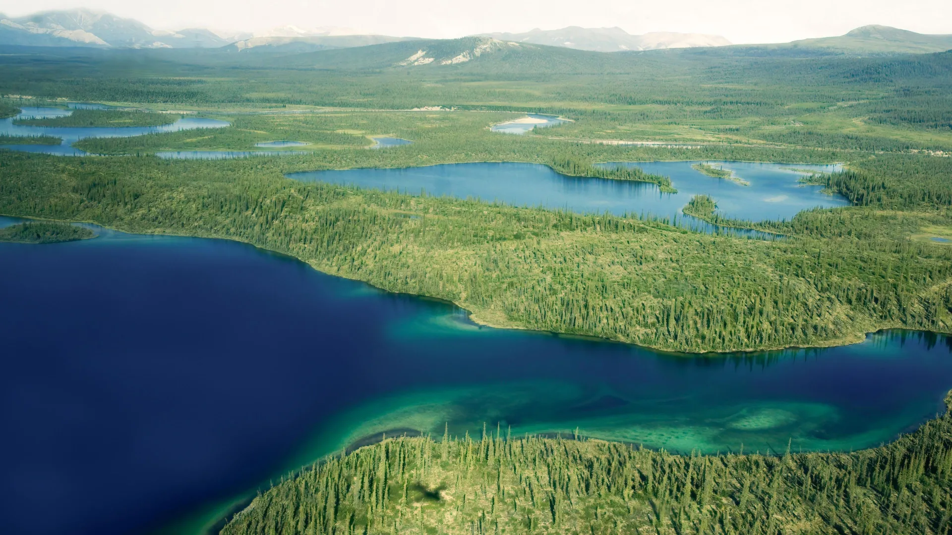 Uma simples mudança de água poderia transformar as terras agrícolas do Ártico num sumidouro de carbono