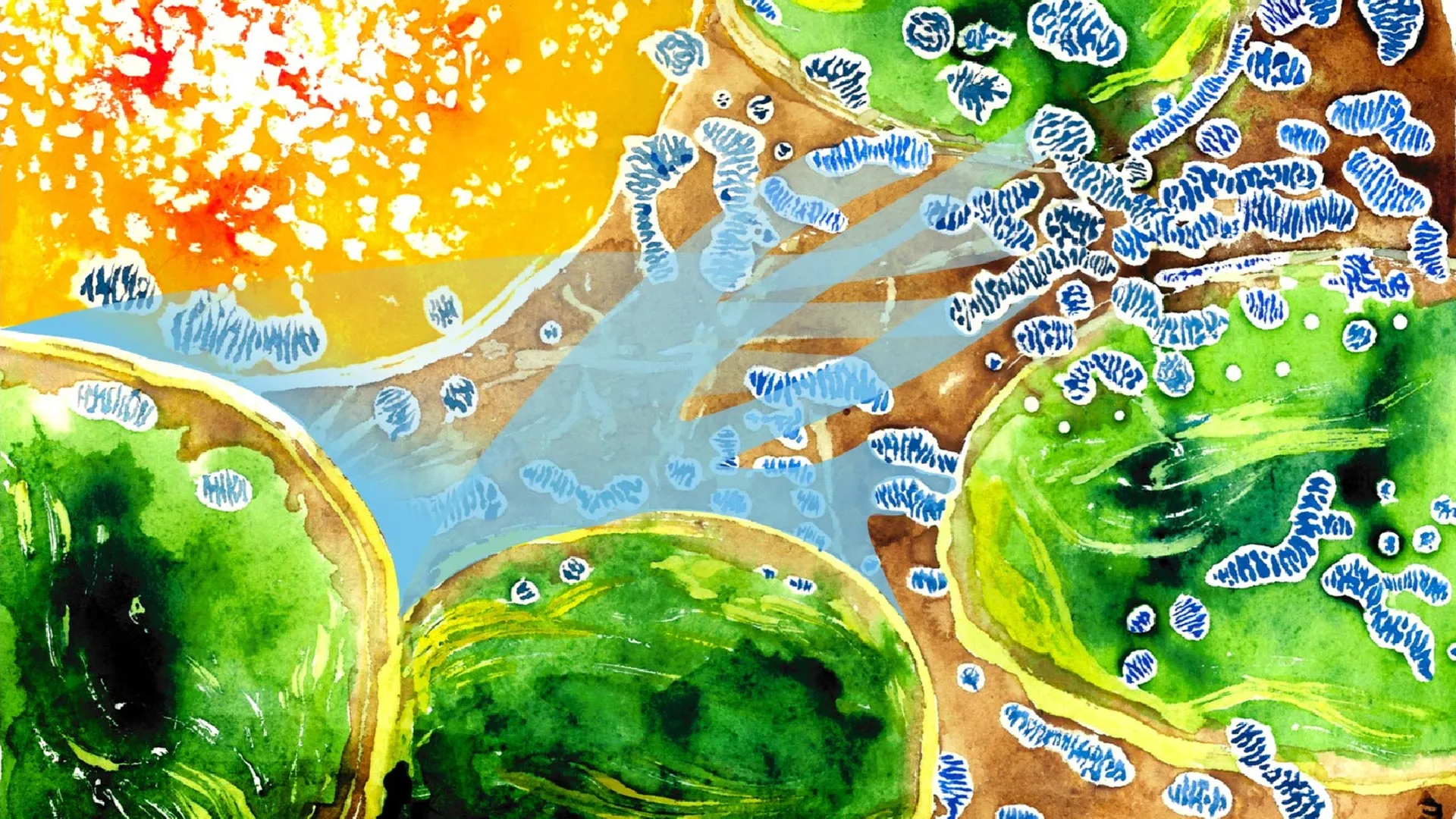 Cientistas descobrem cabo de guerra do oxigênio dentro das células vegetais