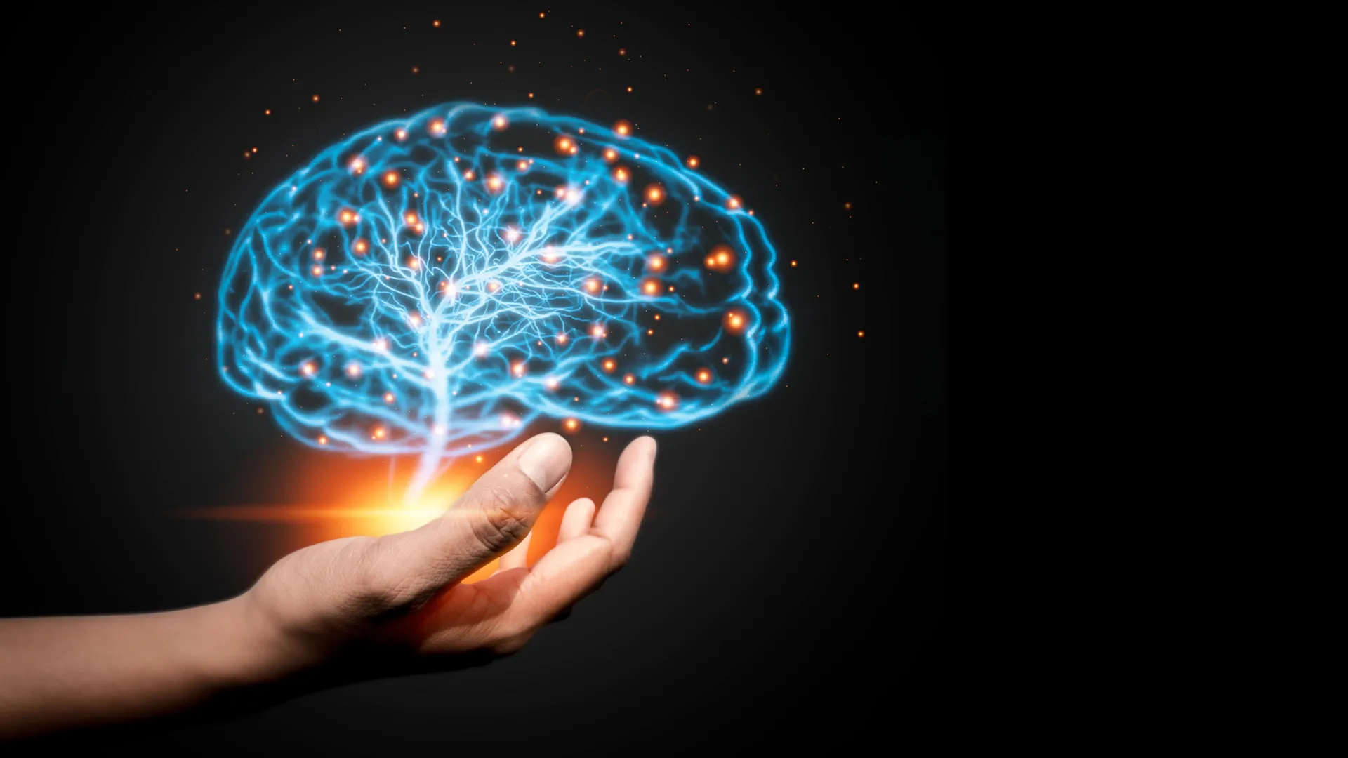 Cientistas descobrem uma força oculta que ajuda a conectar o cérebro