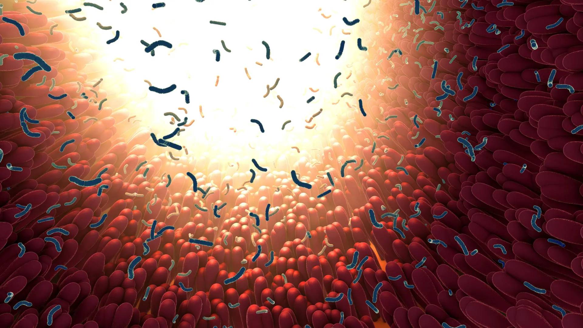 Cientistas do MIT descobrem proteína intestinal que retém e mata bactérias perigosas