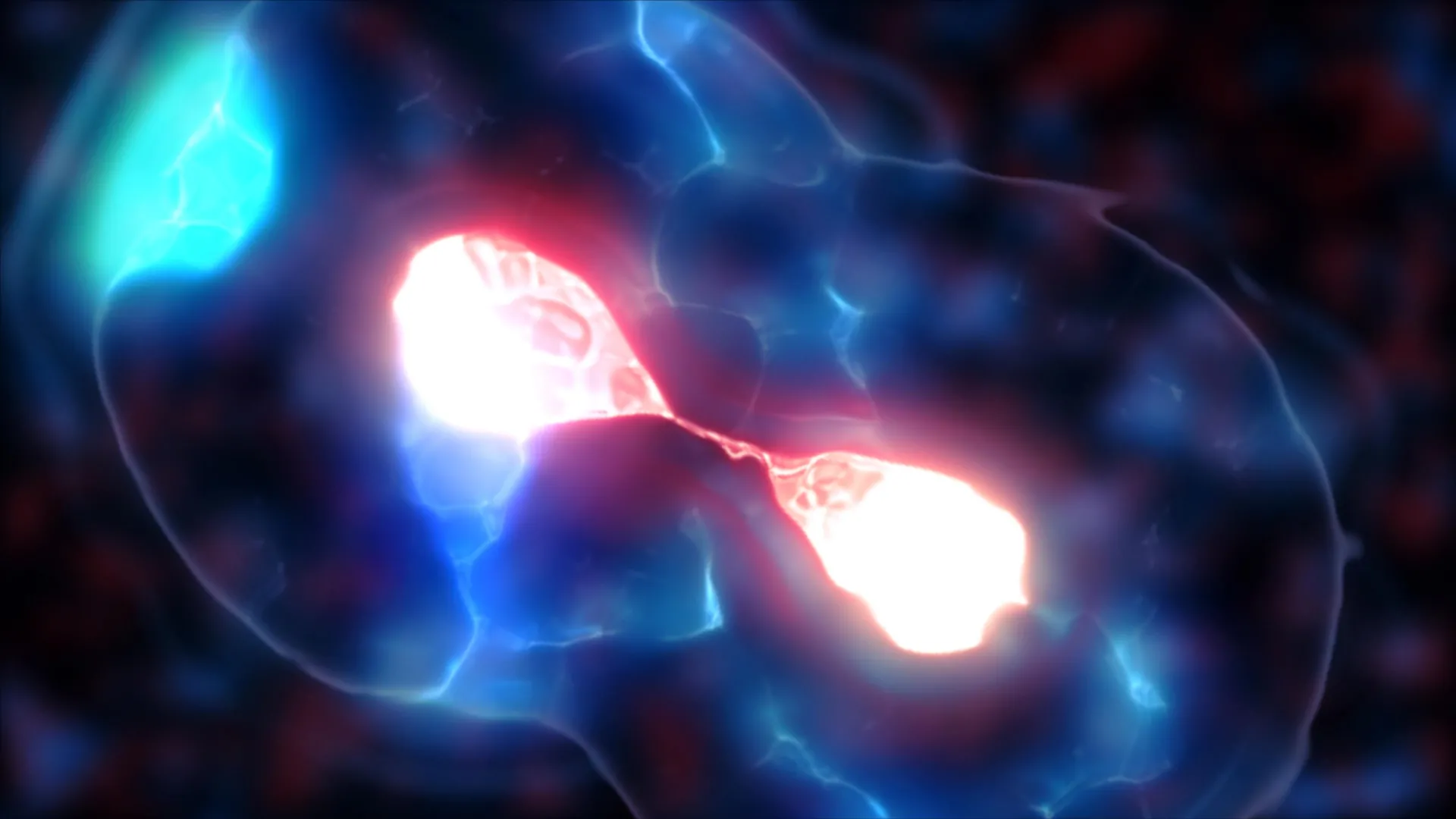 Cientistas finalmente resolvem o mistério dos minúsculos centrômeros da levedura