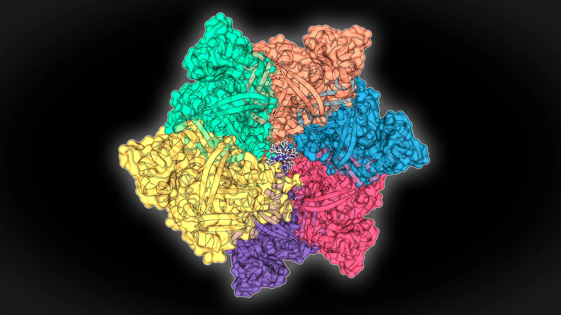 Proteínas ocultas do fundo do mar podem sobrecarregar os testes de doenças