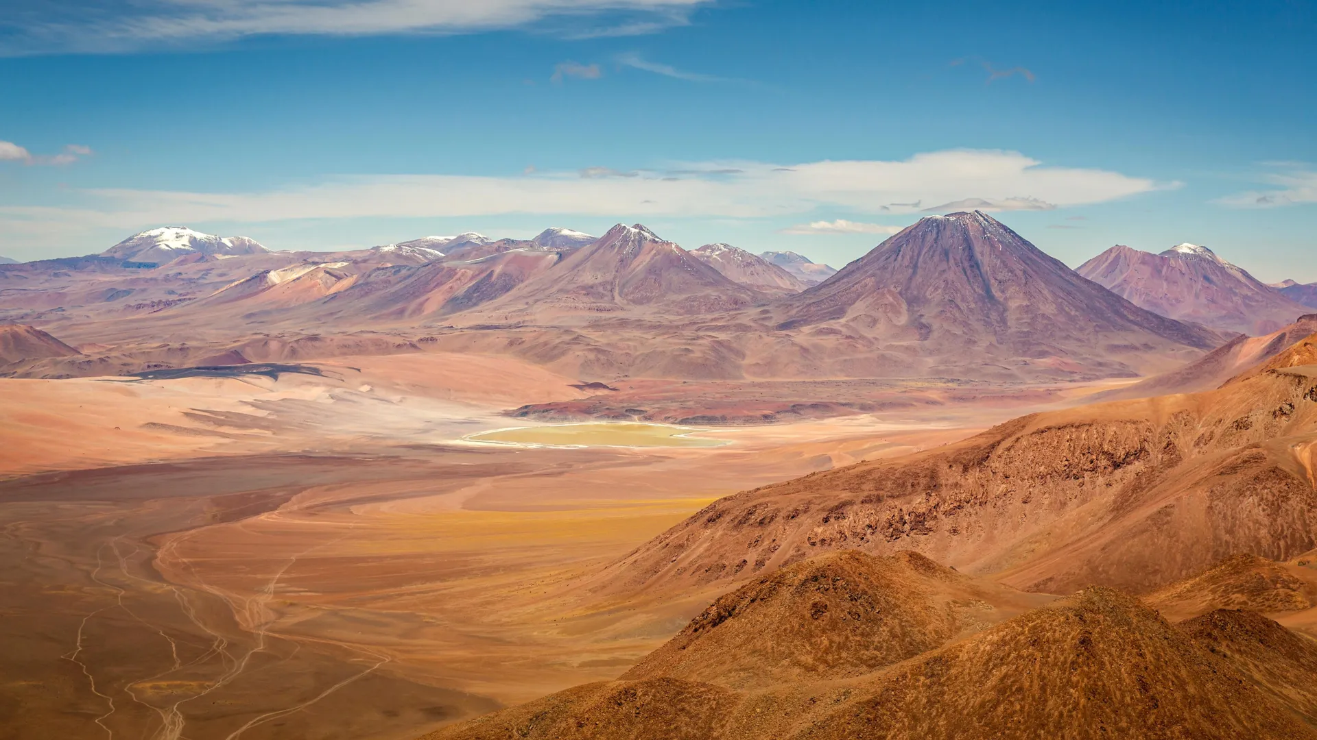 Surpresa do Atacama: o deserto mais seco do mundo está repleto de vida escondida